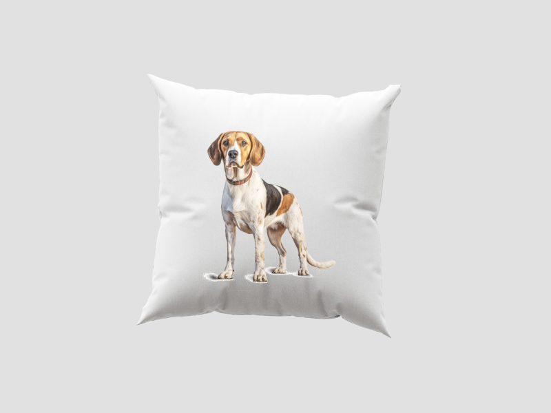Beagle - Párnahuzat