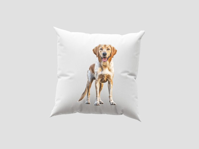 Labrador - Párnahuzat