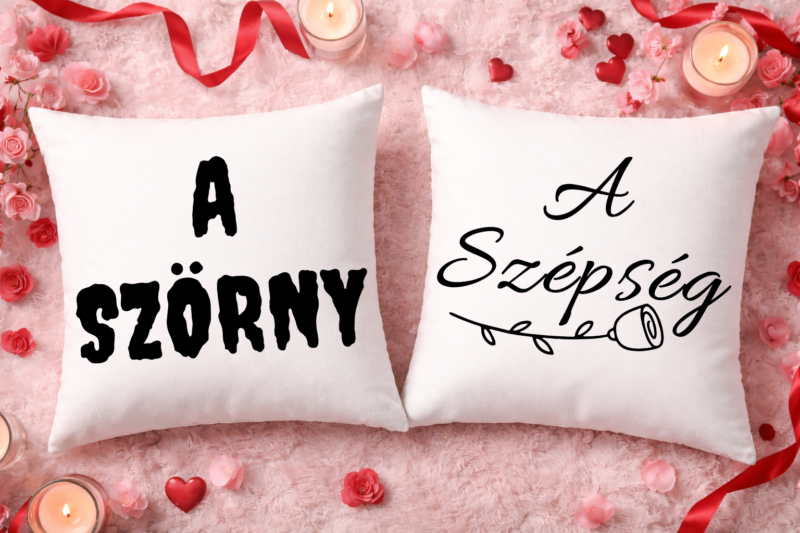 A szörny, a szépség - Páros párnahuzat