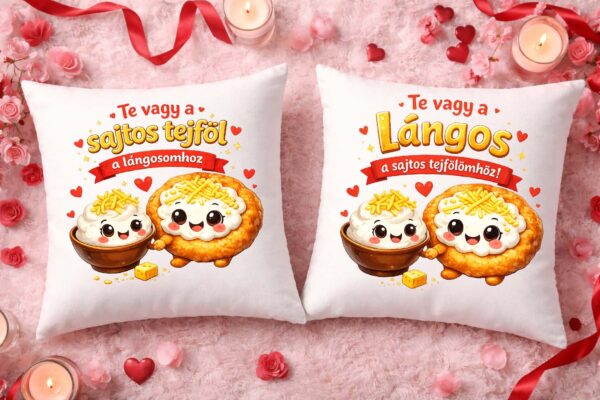 Te vagy a sajtos tejföl/lángos – Páros párnahuzat