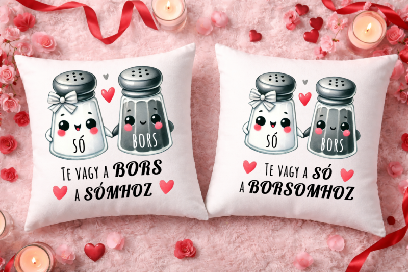 Te vagy a só/bors - Páros párnahuzat