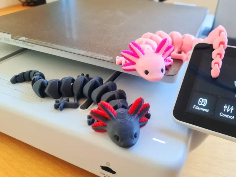 Axolotl