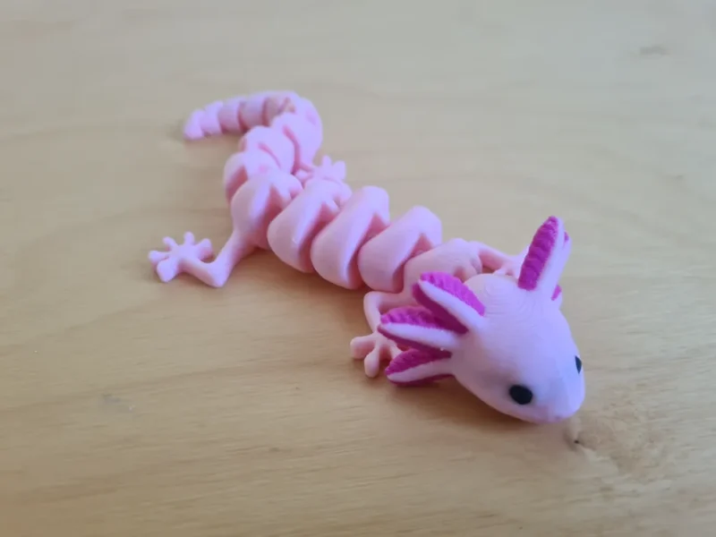 Axolotl