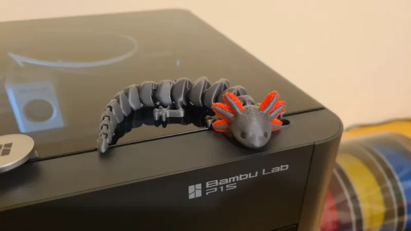 Axolotl