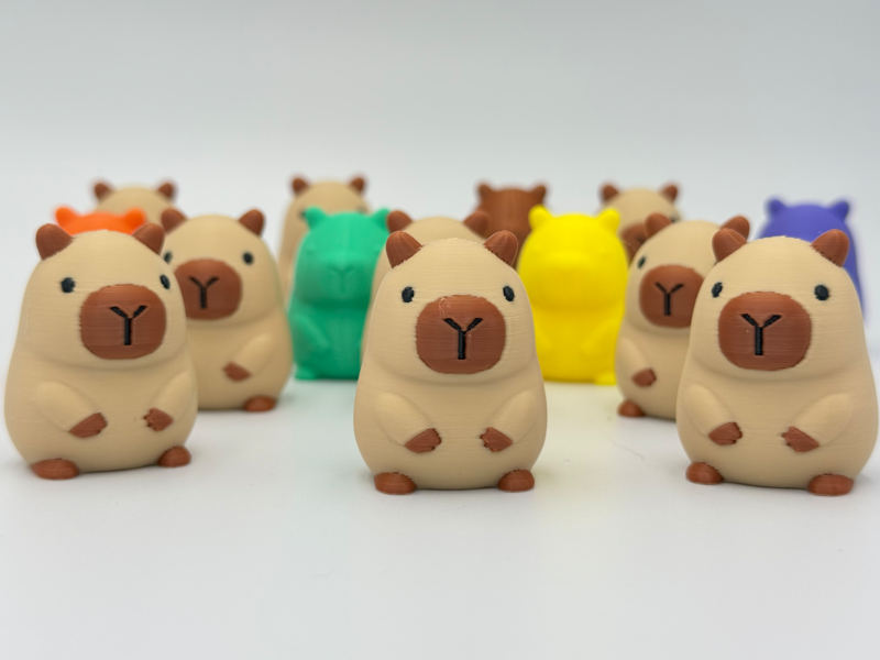 Mini capybara