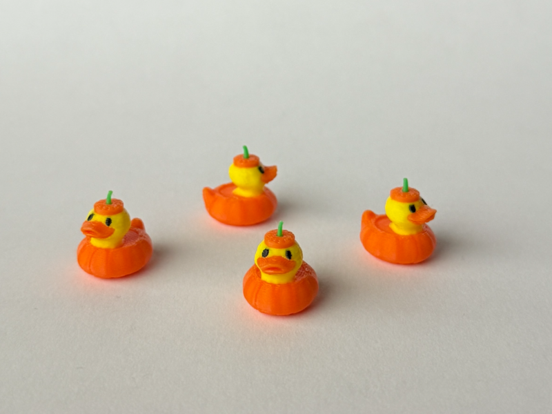 Pumpkin Duck PIC
